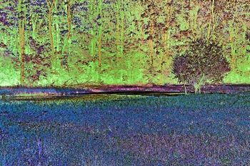 L 058c